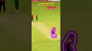 Virat Kohli Batting at Asia Cup vs Pakistan #viratkohli #asiacup2022 #indvspak #cricket