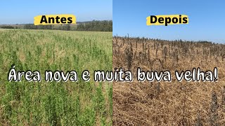 MATANDO A BUVA - Dessecação e pós plantio!!