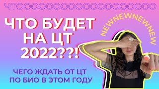 Что будет в ЦТ 2022 года?