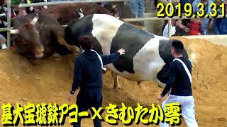 基大宝琥鉄アヨーｘきむたか零  2019.3.31　【沖縄闘牛】