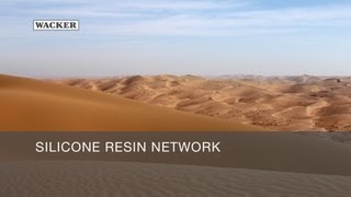 Silicone Resin Network