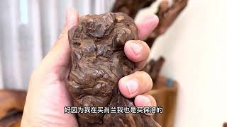 NO318 三峽滿月圓 頂級肖楠瘤（黑料）