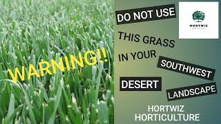 How to succeed in Desert Landscaping