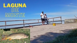 pesca en la laguna de monte , salió el carponazo.