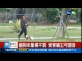 縱狗接連咬死貓 飼主免罰