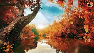 Beautiful Autumn Ambience(For Sleep and Relaxation).Calming White Noise For Meditation and Studying.