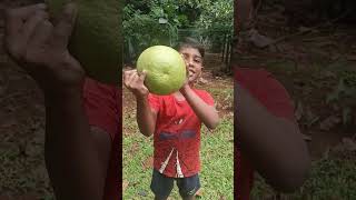 Grape fruit | fruit | fun #shorts #youtubeshorts #viral #fun #grapefruit #kidsvideo #fruits #kids