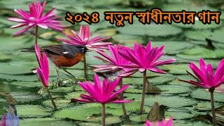 ২০২৪ সালের নতুন স্বাধীনতার গান | দেশাত্মবোধক গান | Desher Gaan