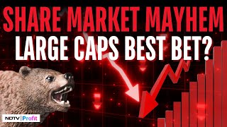 Cash Moving From Small And Mid Caps To Large Caps, Says Seth Freeman