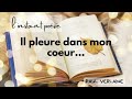 Il pleure dans mon coeur - Paul Verlaine