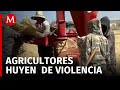 Agricultores en Zacatecas se desplazan para evitar extorsiones del crimen organizado