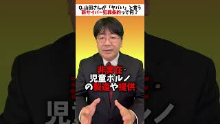 【１】Q.山田さんが「ヤバい」と言っている新サイバー犯罪条約ってなに！？　＃shorts #表現の自由  #表現規制