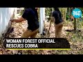 Watch how woman forest official fearlessly rescued Cobra from human habitations; Video goes viral