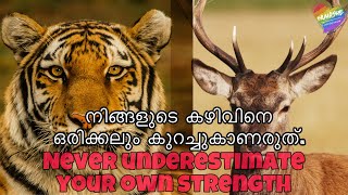 Never underestimate your own power | നിങ്ങളുടെ കഴിവിനെ ഒരിക്കലും കുറച്ചുകാണരുത് | Motivation video