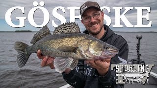 SportingTV - Gösfiske med Esox Gear