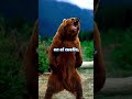 🐻💀 Derrotó a un OSO con sus propias manos #shorts #curiosidades