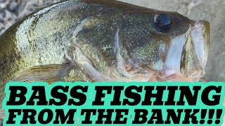 An EASY Summer Technique To Get A BITE From BASS!