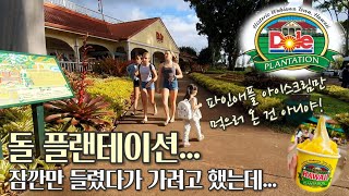 하와이 여행 필수 코스인 돌 플랜테이션(Dole Plantation)! 이번에는 파인애플 아이스크림만 먹고 가려고 했는데... / 하와이 여행 브이로그 [12] #하와이여행