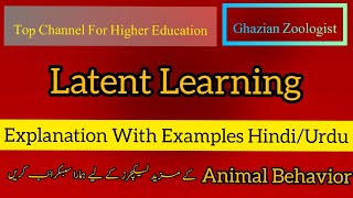 Latent learning |Cognitive Maps|Animal Behavior |in urdu/ Hindi