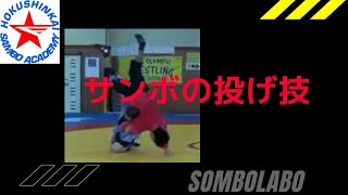 サンボの投げ技　Throwing technique of sambo