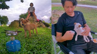 带狗狗野营原来那么好玩 Camping with the dog