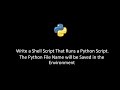 shell script that runs a python script the python file name will be saved in environment