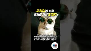 고양이를 스파이로 기르면 어떻게될까? #고양이 #동물 #유머