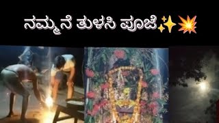 ನಮ್ಮನೆ ತುಳಸಿ ಪೂಜೆ ✨#poojavlog # vinupriya vlog # kannada vlog #