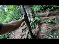 thusharagiri waterfalls deep inside the forest trekking total three waterfalls vlogging