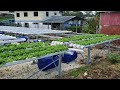 trinilandman recirculating hydroponic drip system