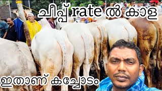 Buffalo market manjeri || ഇതാണ് കച്ചോടം ചീപ്പ് rate ൽ കാള #amazing