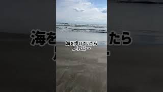 砂浜に珍しい落とし物が…#shorts