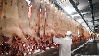 Inside modern pork beef processing factory | Amazing Beef Processing Plant, Food Processing Machines