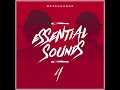 Retrohandz Essential Sounds 4 (Samples, Loops, Serum Presets)