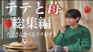 日本 語 字幕 | BTS テテと苺の総集編/テテモッパン[V Taehyung]