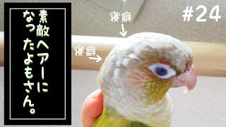 【ウロコインコ】よも日記#24