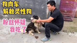 狗肉車上解救的“靈性狗”，見到我就握手，有粉絲竟然懷疑我吃了