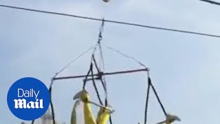 Shocking moment four acrobats SLAM to the ground during stunt