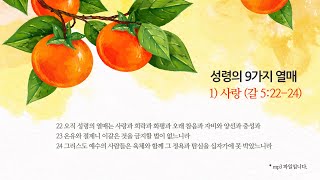 성령의 9가지 열매 (1) 사랑 (갈 5:22-24)