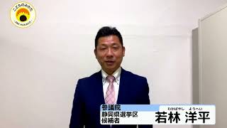 参議院静岡県選挙区候補者　若林洋平