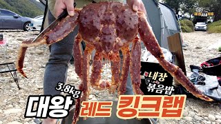 캠핑장에서 🤩대왕 레드킹크랩 3.8kg(노량진새벽경매시장에서 키로 5만원 구매)🤩 쪄먹고 황장에 볶음밥까지🔥클리어ㅣ홍천보리울캠핑장 ⛺ㅣMINI루프박스로 캠핑짐 해결