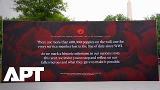 WATCH: 600,000 Poppies Honor Fallen Soldiers in Washington – Memorial Day Tribute | APT