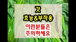 갓김치 갓 효능과 부작용 잘 알고 드셔야해요~