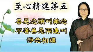 至心精進第五 第124集：善惡念頭叫雜念  不着善惡兩邊叫淨念相繼