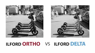 ILFORD ORTHO PLUS VS ILFORD DELTA 100 | Hasselblad 503 CW