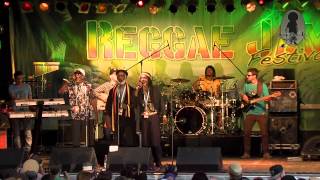 Viceroys @ Reggaejam 2014