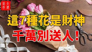 這7種花是財神，千萬別送人！否則錢財全漏光，越過越淒涼！#大佬你好啊