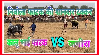 nimbola hello ki takkar।जगीरा बहादरपुर 🆚 कालू भाई फाटक।Jagira vs Kallu fatak।nimbola ki takkar