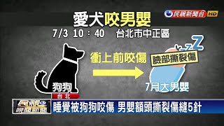 驚! 家犬抓狂咬傷小主人 男嬰頭濺血送醫－民視新聞