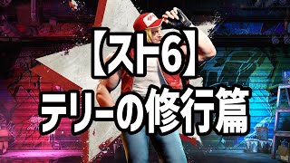 【 #スト6 】テリーの修業篇